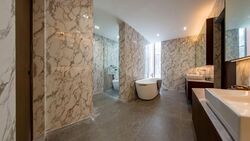 Orchid Village (D11), Semi-Detached #537799421